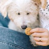 CBD Dog Treats - 750mg