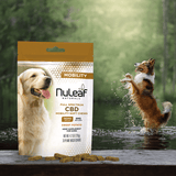 CBD Mobility Chews for Dogs