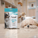 CBD Calming Chews For Dogs